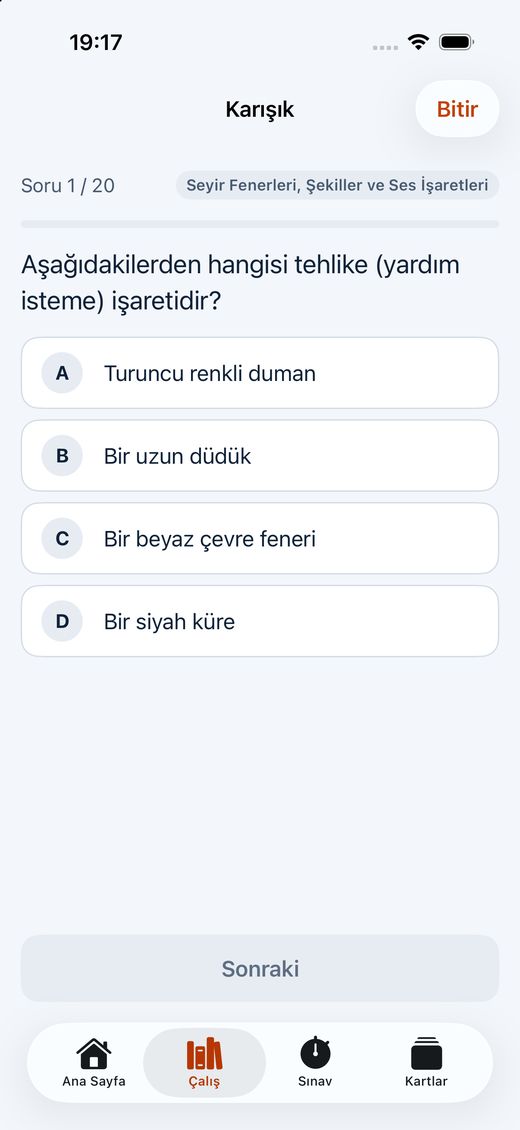 Soru çalışma ekranı